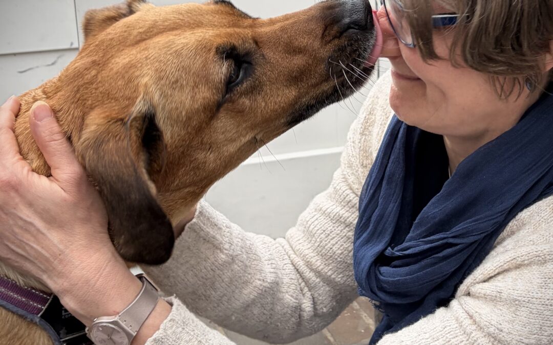 Der innere Schweinehund will nur spielen,  oder: Wie Bewegung Spaß macht und die Faszien gesund hält